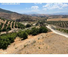 Finca  con cortijo en casarabonela