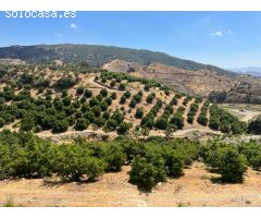 Finca  con cortijo en casarabonela