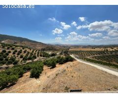 Finca  con cortijo en casarabonela