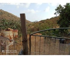 Finca en totalan con casa  para reformar