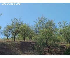 parcela en moclinejo