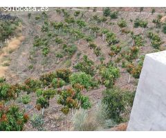 Parcela en almachar con estructura y casita de aperos