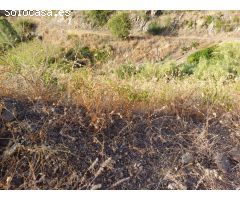 casa con parcela en el borge para reformar