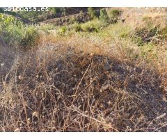 casa con parcela en el borge para reformar