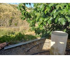 casa con parcela en el borge para reformar