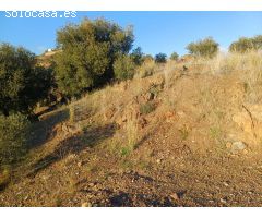 Parcela en almachar puesto de olivos