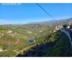parcela en iznate con arboles