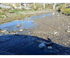 Parcela de aguacates con agua