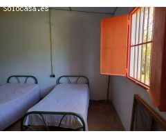 Parcela en olias con casa de aperos