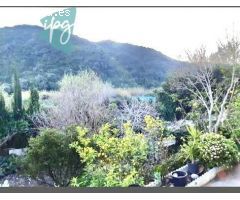 Casa de campo independiente