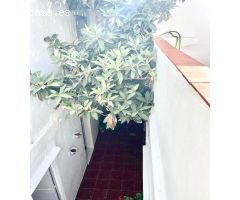 Casa grande en casco histórico