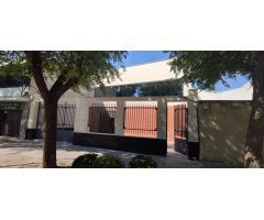Local comercial en Alquiler en Tomelloso, Ciudad Real