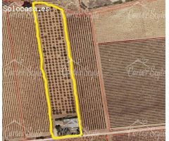 Parcela en Venta en Tomelloso, Ciudad Real