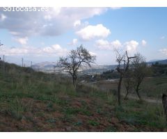 Finca ubicada en Coín