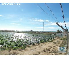 Finca rustica en Venta en Almayate Bajo, Málaga