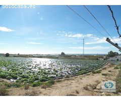 Finca rustica en Venta en Almayate Bajo, Málaga