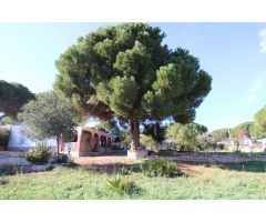 Chalet a reformar en Pinos de Alhaurin