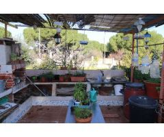 Chalet a reformar en Pinos de Alhaurin