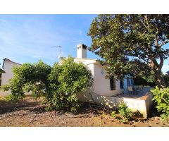 Finca rústica con producción de Aguacates ubicada en Alhaurin de la Torre