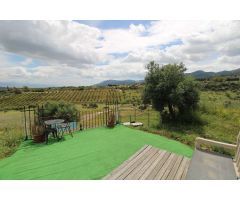 Finca en Arroyo Hondo