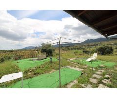 Finca en Arroyo Hondo