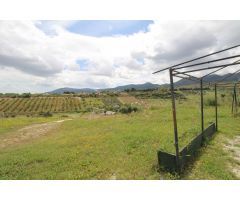 Finca en Arroyo Hondo