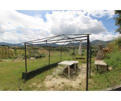 Finca en Arroyo Hondo