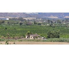 Finca con casa en alquiler en Cártama
