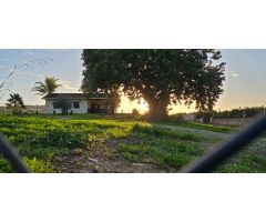 Finca con casa en alquiler en Cártama