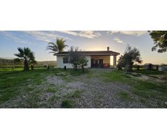 Finca con casa en alquiler en Cártama