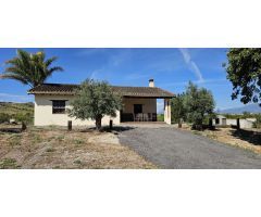 Finca con casa en alquiler en Cártama