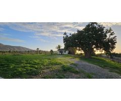 Finca con casa en alquiler en Cártama