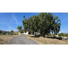 Finca con casa en alquiler en Cártama