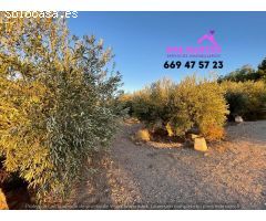 Casa de campo en Venta en Cales de Mallorca, Murcia