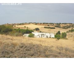 Preciosa finca de 50.000 m2 con casa