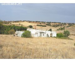 Preciosa finca de 50.000 m2 con casa