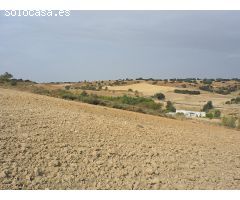 Preciosa finca de 50.000 m2 con casa