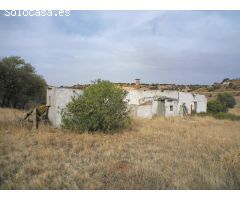 Preciosa finca de 50.000 m2 con casa