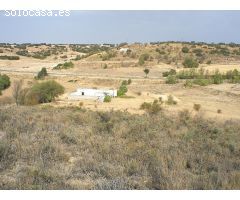 Preciosa finca de 50.000 m2 con casa