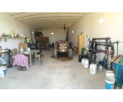 Finca Rústica con cultivo palmeras enanas Agost