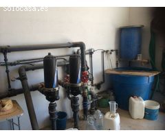 Finca Rústica con cultivo palmeras enanas Agost