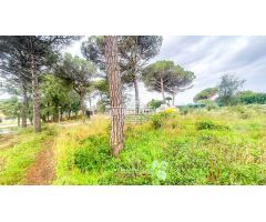 Parcela en Venta en Vidreres, Girona