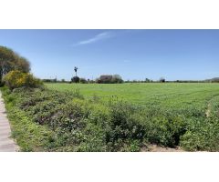Piso en Venta en Blanes, Girona