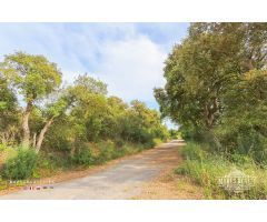 Parcela en Venta en Tossa de Mar, Girona