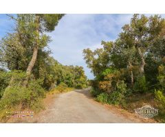 Parcela en Venta en Tossa de Mar, Girona