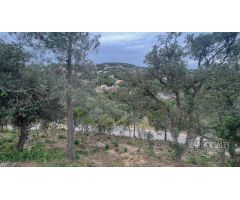 Parcela en Venta en Lloret de Mar, Girona