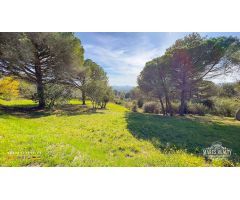 Parcela en Venta en Lloret de Mar, Girona