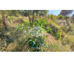 Parcela en Venta en Lloret de Mar, Girona