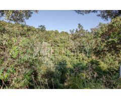 Parcela en Venta en Tossa de Mar, Girona