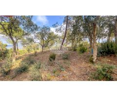 Parcela en Venta en Lloret de Mar, Girona